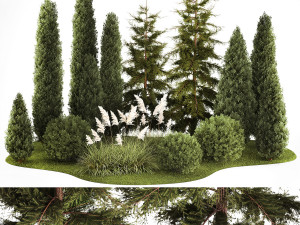 Garden of thuja and cypress trees with pampas grass bushes 1154 Modello 3D
