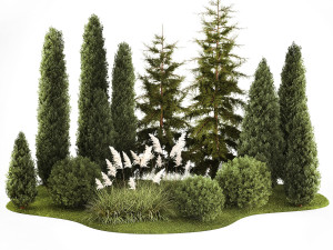 Garden of thuja and cypress trees with pampas grass bushes 1154 Modèle 3D