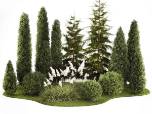 Jardim de thuja e ciprestes com arbustos de capim-pampa 1154 Modelo 3D