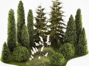 Garden of thuja and cypress trees with pampas grass bushes 1154 Modèle 3D