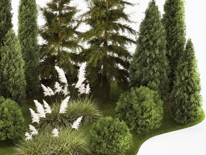 Jardim de thuja e ciprestes com arbustos de capim-pampa 1154 Modelo 3D