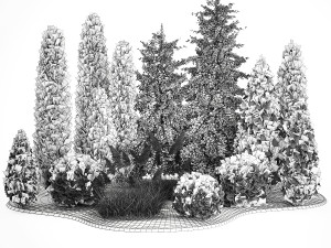 Garden of thuja and cypress trees with pampas grass bushes 1154 Modèle 3D