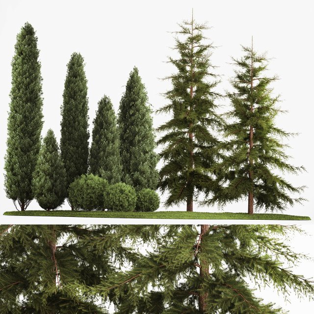 Garden of thuja and cypress trees with bushes 1155 3D 모델 .c4d .max .obj .3ds .fbx .stl .blend 
