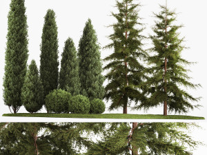 Garden of thuja and cypress trees with bushes 1155 3D Model