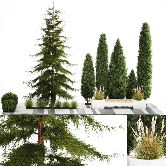 Garden of thuja and cypress trees with bushes 1156 Modelo 3D .c4d .max .obj .3ds .fbx .stl .blend 