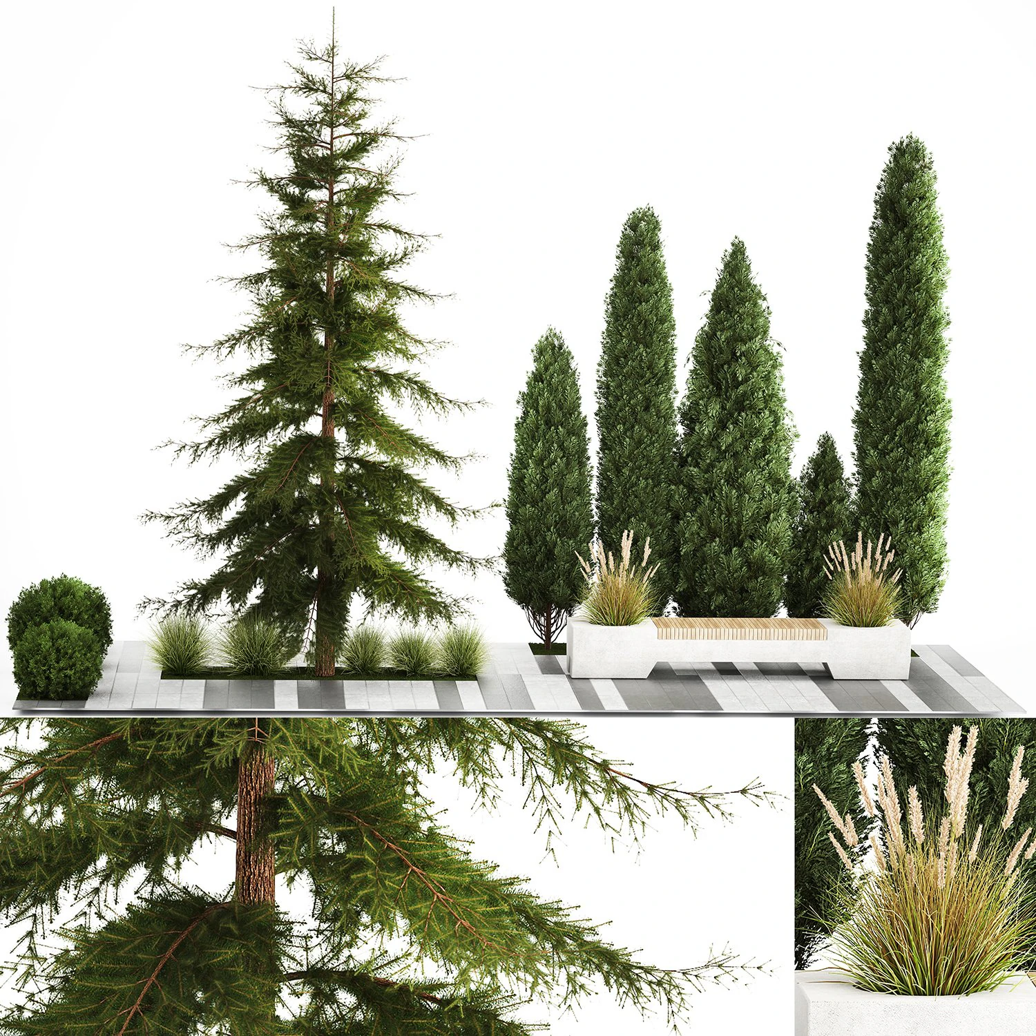 Jardim de thuja e ciprestes com arbustos 1156 Modelo 3D .c4d .max .obj .3ds .fbx .stl .blend