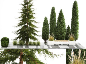 Garden of thuja and cypress trees with bushes 1156 3D Model