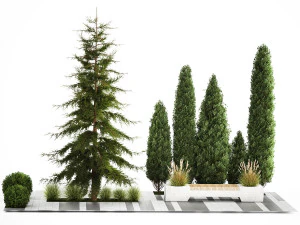 Jardim de thuja e ciprestes com arbustos 1156 Modelo 3D