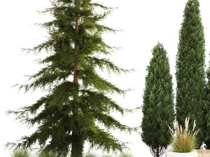 Garden of thuja and cypress trees with bushes 1156 Modelo 3D