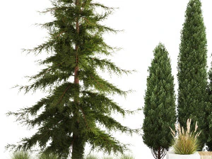 Jardim de thuja e ciprestes com arbustos 1156 Modelo 3D