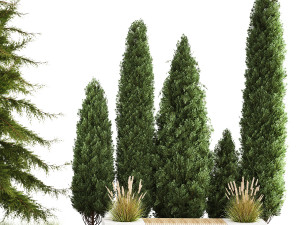 Garden of thuja and cypress trees with bushes 1156 Modelo 3D