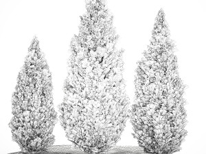 Juniper Thuja And Cypress For Landscape Design 1159 3D मॉडल