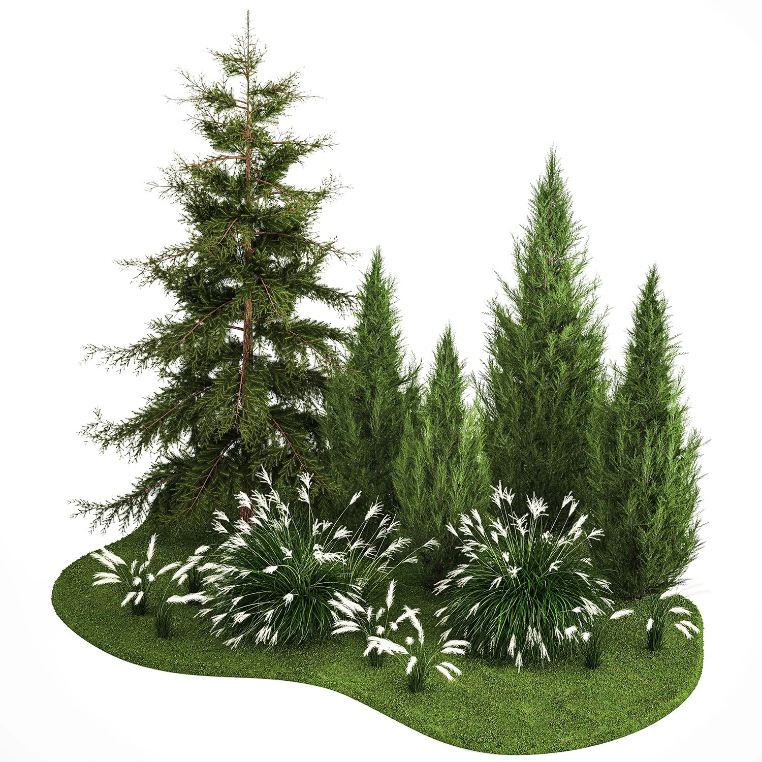 Garden of thuja and cypress trees with Miscanthus bushes 1158 3D Model .c4d .max .obj .3ds .fbx .stl .blend 