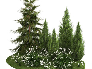 Garden of thuja and cypress trees with Miscanthus bushes 1158 3D Model