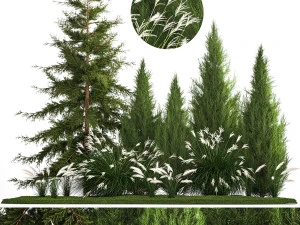 Garden of thuja and cypress trees with Miscanthus bushes 1158 3D Model