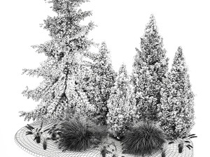 Garden of thuja and cypress trees with Miscanthus bushes 1158 3D Модель