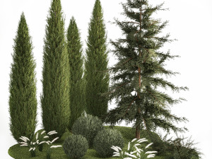Garden of thuja and cypress trees with feather grass bushes 1160 3D Model