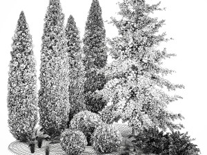 Garden of thuja and cypress trees with feather grass bushes 1160 3D मॉडल
