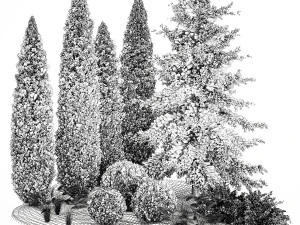 Jardim de thuja e ciprestes com arbustos de grama 1160 Modelo 3D