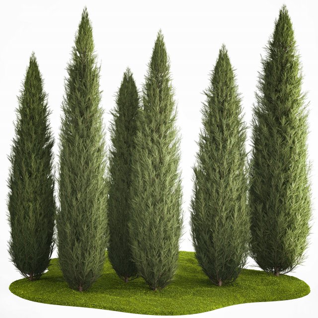 Juniper Thuja And Cypress For Park Garden Forest 1161 3D 모델 .c4d .max .obj .3ds .fbx .stl .blend 