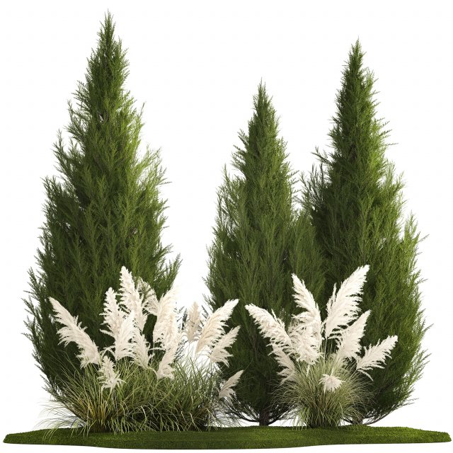 Cypress and thuja with pampas grass in the garden 1162 3Dモデル .c4d .max .obj .3ds .fbx .stl .blend