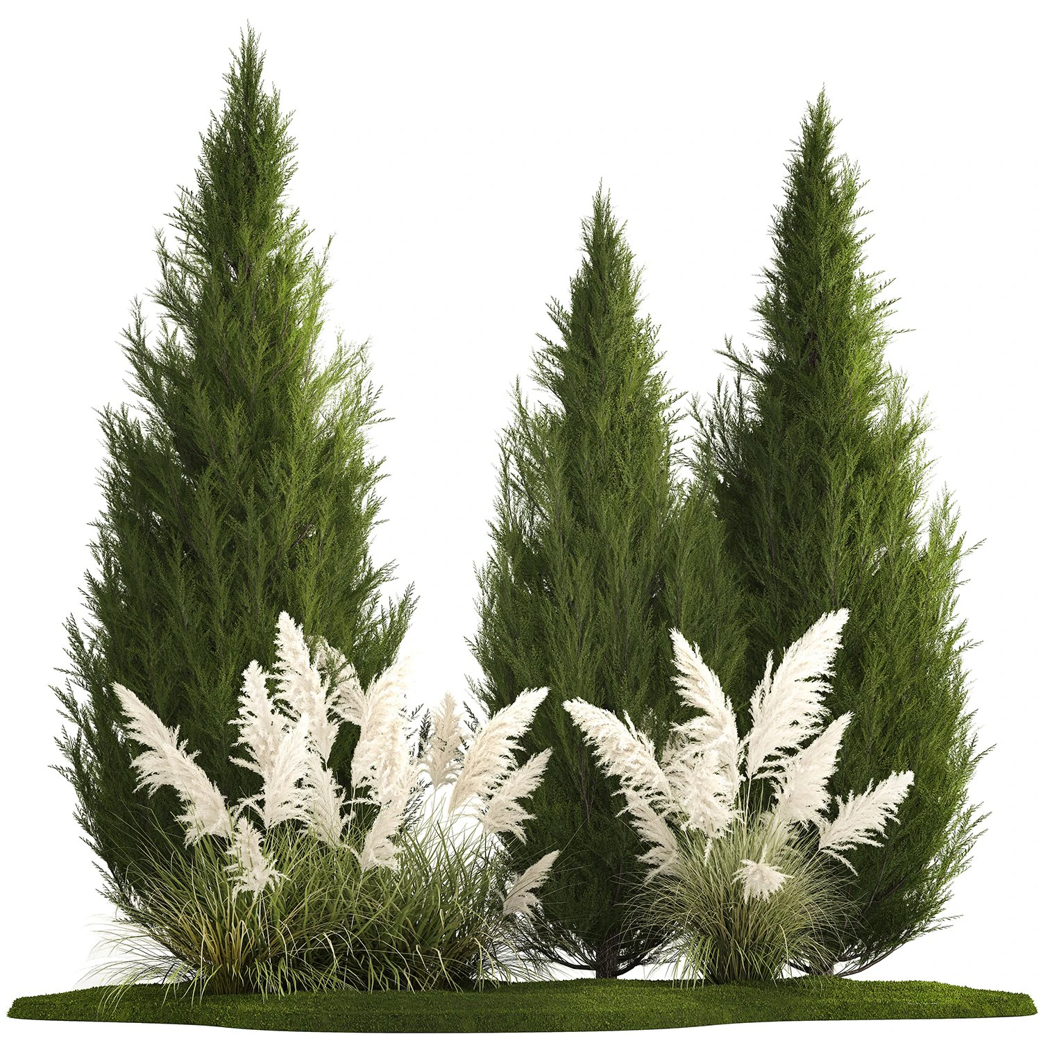 Cypress and thuja with pampas grass in the garden 1162 3D Model .c4d .max .obj .3ds .fbx .stl .blend 