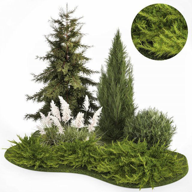 Garden of thuja and cypress trees with pampas grass bushes 1163 Modèle 3D .c4d .max .obj .3ds .fbx .stl .blend 