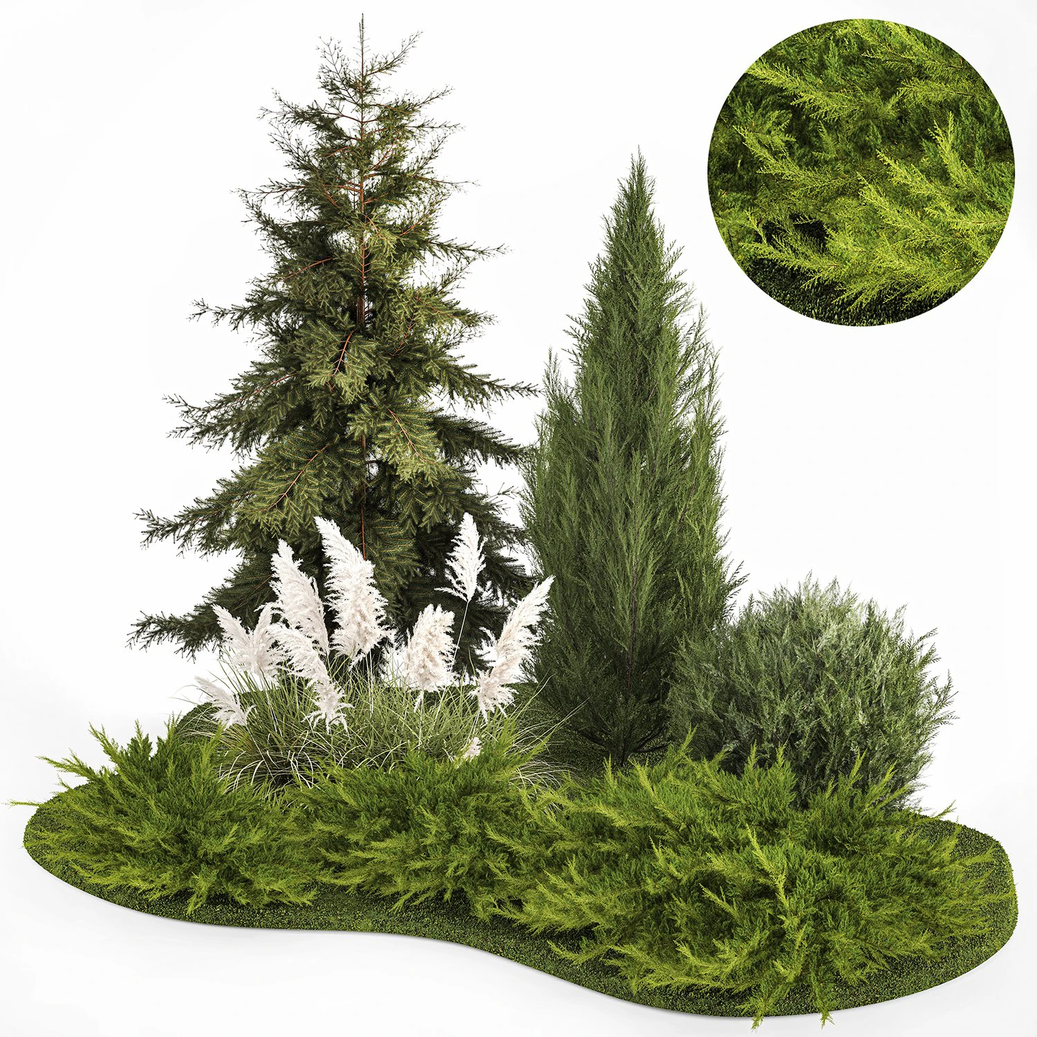 Garden of thuja and cypress trees with pampas grass bushes 1163 3D Model .c4d .max .obj .3ds .fbx .stl .blend