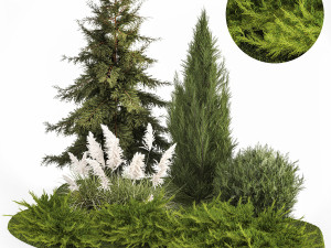 Garden of thuja and cypress trees with pampas grass bushes 1163 3D Model