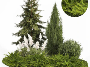 Jardim de thuja e ciprestes com arbustos de capim-pampa 1163 Modelo 3D