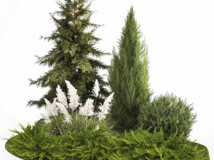 Garden of thuja and cypress trees with pampas grass bushes 1163 Modèle 3D