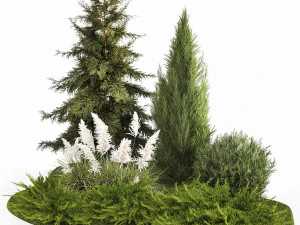 Garden of thuja and cypress trees with pampas grass bushes 1163 3D Model