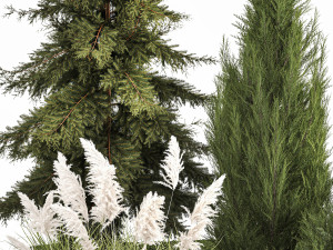 Garden of thuja and cypress trees with pampas grass bushes 1163 Modèle 3D