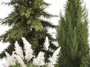 Garden of thuja and cypress trees with pampas grass bushes 1163 3D Model