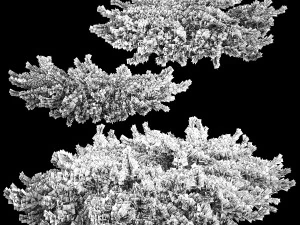 Juniper and thuja bushes for landscape design 1164 3D Model