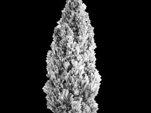 Juniper and thuja bushes for landscape design 1165 Model 3D
