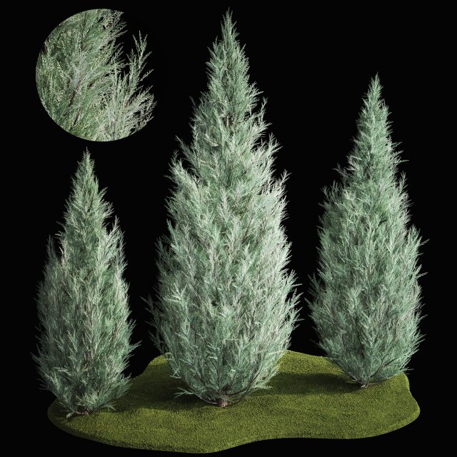 Blue Cypress Juniper And Thuja 1166 3D Модель .c4d .max .obj .3ds .fbx .stl .blend 