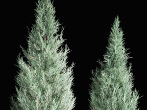 Blue Cypress Juniper And Thuja 1166 3D Модель