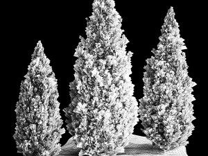 Blue Cypress Juniper And Thuja 1166 3D Модель