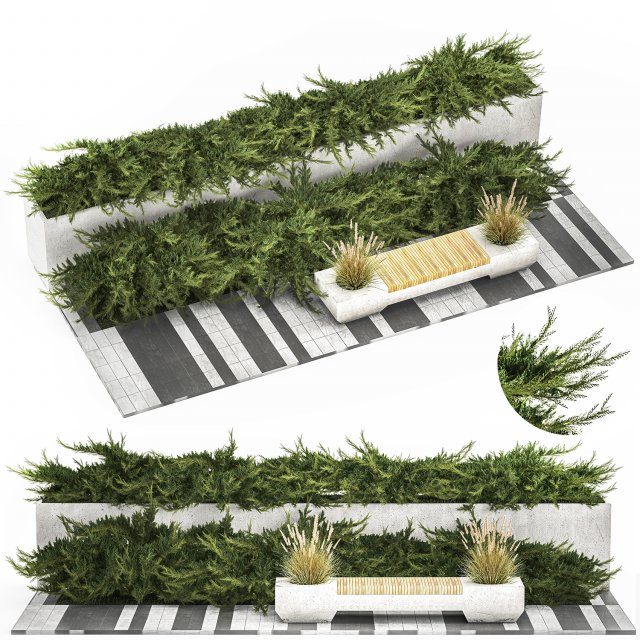 Cypress And Juniper With A Bench For An Park 1167 3D Model .c4d .max .obj .3ds .fbx .stl .blend 