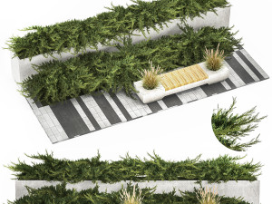Cypress And Juniper With A Bench For An Park 1167 3D Model