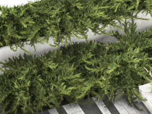 Cypress And Juniper With A Bench For An Park 1167 3D Model