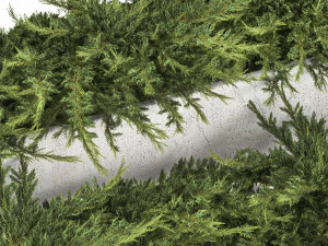 Cypress And Juniper With A Bench For An Park 1167 3D Model