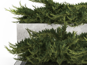 Cypress And Juniper With A Bench For An Park 1167 3D Model