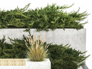 Cypress And Juniper With A Bench For An Park 1167 3D Model