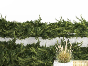 Cypress And Juniper With A Bench For An Park 1167 3D Model