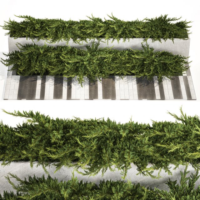 Cypress and juniper for the urban environment 1168 Modelo 3D .c4d .max .obj .3ds .fbx .stl .blend 