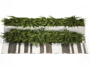 Cypress and juniper for the urban environment 1168 Modelo 3D