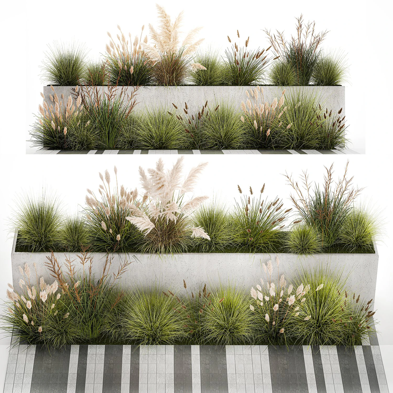Bushes For Landscaping With Pampas Grass 1169 3D Model .c4d .max .obj .3ds .fbx .stl .blend 