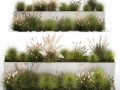 Bushes For Landscaping With Pampas Grass 1169 3D 模型
